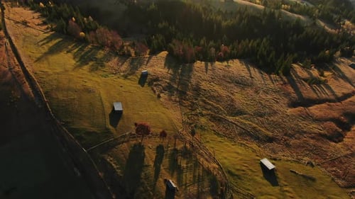 Aerial View of a Mountain Valley with Scattered Farm Buildings in Warm Light of Early Morning or