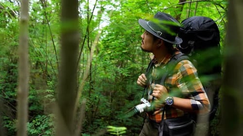 Reisender Mann mit Rucksack schaut in den Naturwald