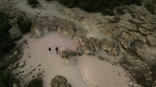 Das Naturphänomen Steinpilze