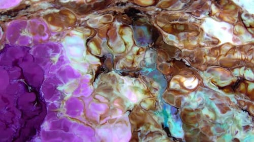 Abstract Fluid Art: Colorful Swirling Patterns