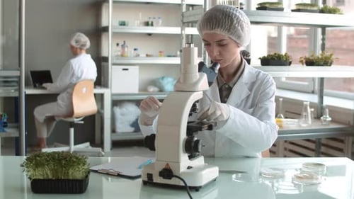Female Scientist Working in Laboratory