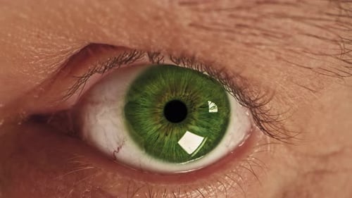 Slow Motion Macro Shot of Mans Green Eyes