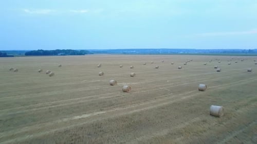 Farm Field With Hay Bales