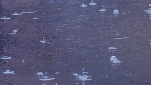 Rainy Day