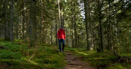 Tourist Guy with Backpack Hiking on an Adventure Trip in Natural Landscape