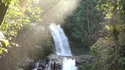 Waterfall in a Lush Forest with Sunlight