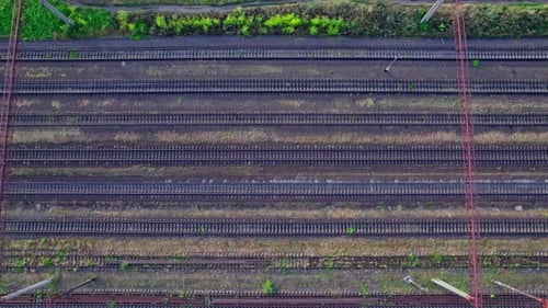 Eisenbahnschienen im Hinterland mit Gras und Bäumen