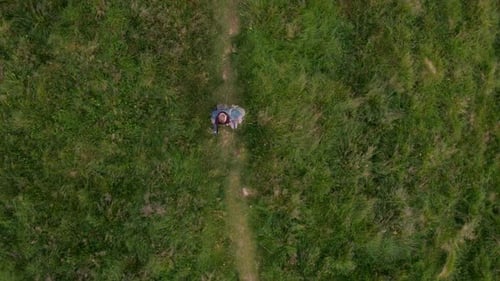 Aerial of a Man Walks Along the Pathway Through Green Meadow