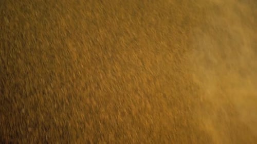 Dynamic Gold and Orange Particle Field Abstract