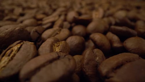 Macro Footage of Roasted Coffee Beans
