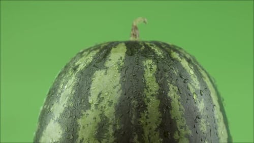Sweet Watermelon With Water Drops On Green Background Studio