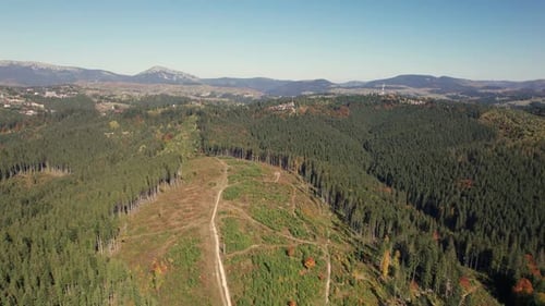 Aerial Flying Forward Over a Felled Mountain Forest for Construction or Agricultural Needs