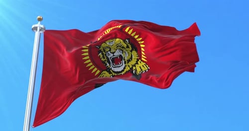 Drapeau de l'Eelam tamoul, Sri Lanka