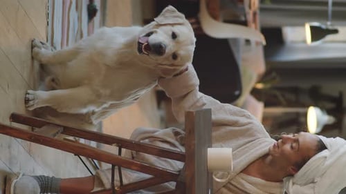 Woman Working at Home with Golden Retriever Dog