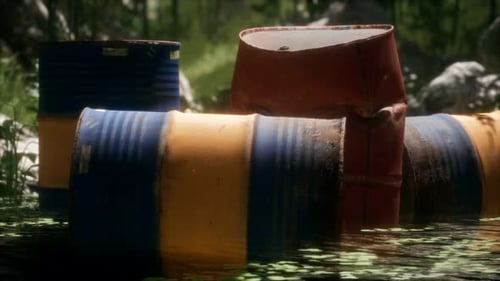 Rusty Barrels in Green Forest