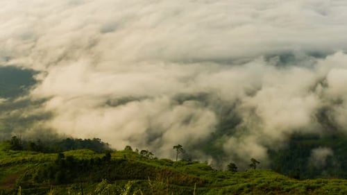 Mont Fog