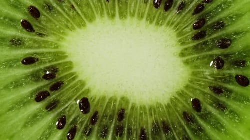 Makroansicht der Kiwi-Slice-Rotation. Extreme Nahaufnahme von grüner saftiger Textur mit Samen exotischer Früchte