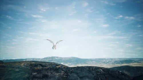 Realistic 3D Dragon Flying Over Volcanic Landscape