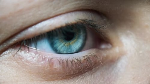 Beautiful Blue Woman Eye, Extreme Close-up. Sight. Detail View Young Girl's Eye