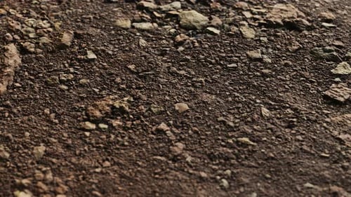 Closeup of Dirty Ground Road