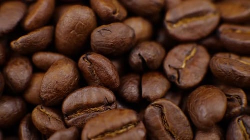 Roasted Coffee Beans Filling the Frame