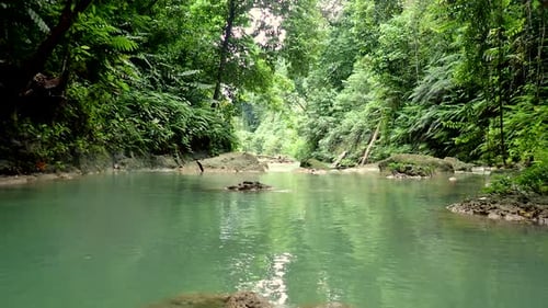beautiful clear blue river flowing through a lush green tropical rainforest in the Philippines.