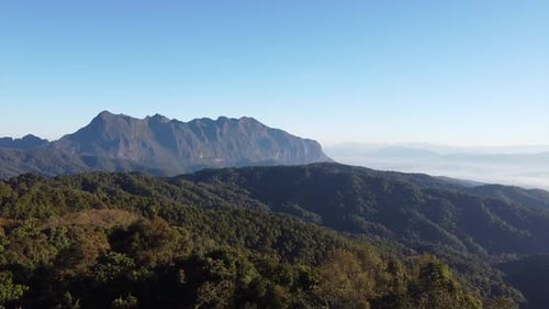 Aerial landscape view of greenery rainforest and hills by drone