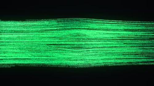 Futuristic Data Network Globe Reveal