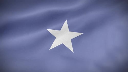 Waving Blue Flag with White Star Animation