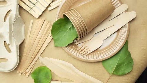 Eco-Friendly Disposable Tableware with Paper and Wood