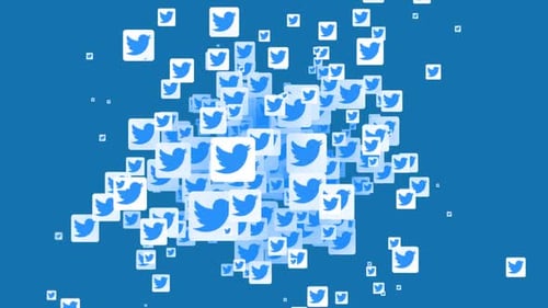 Animated Twitter Bird Social Media Icons Background