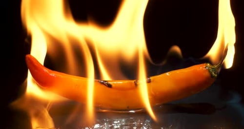 Orange Chili Pepper Engulfed in Flames