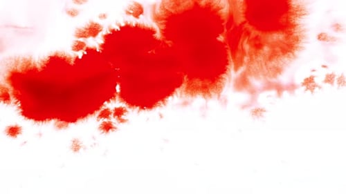 Red Ink Drops Spread on White