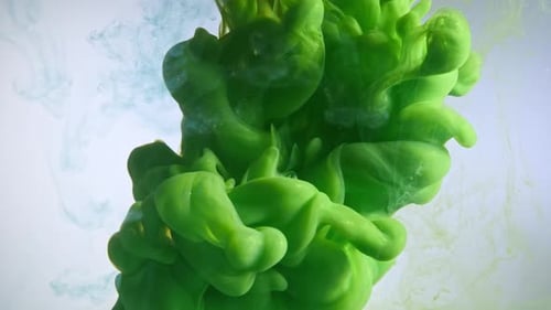 Green color paint drops in water against white background.