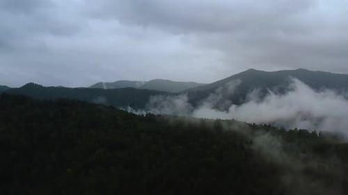 mountains and forest in the clouds view from above