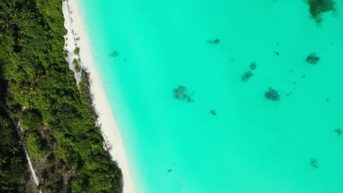Aerial above tourism of luxury resort beach wildlife by aqua blue ocean and white sand background of