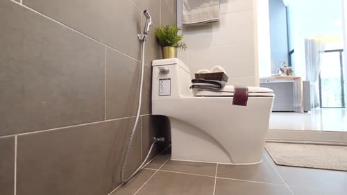 Modern Bathroom with Toilet and Bidet Sprayer