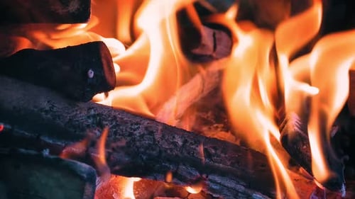 Fire