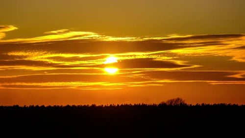 Golden Sunset over a Dark Treeline Landscape