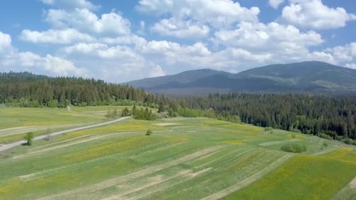 Green Landscape