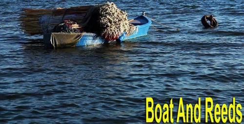 Boot und Schilf