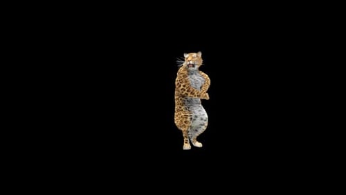 Leopard Dancing HD