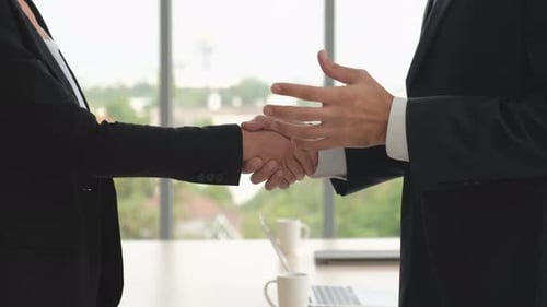 Business man and woman shake hands together in the office with glass windows