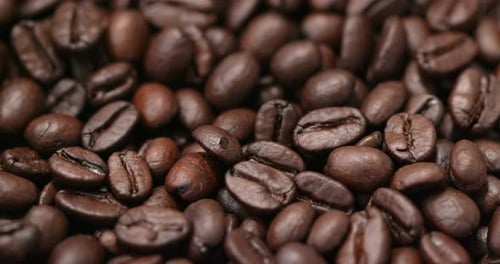 Roasted coffee bean
