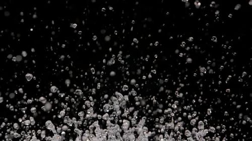 Water Droplets Rising Against Black Background