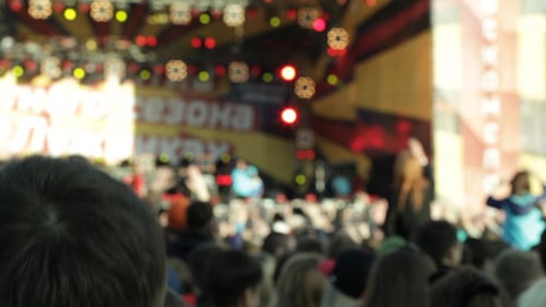 Crowd of People at Outdoor Concert Event