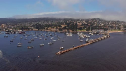 Aerial View of the Monterey Bay Aquarium Pacific Grove