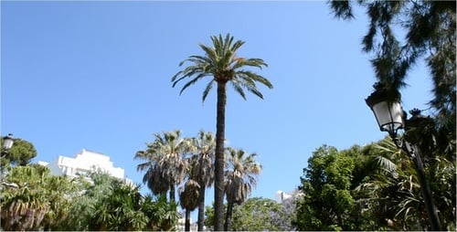 Park 5