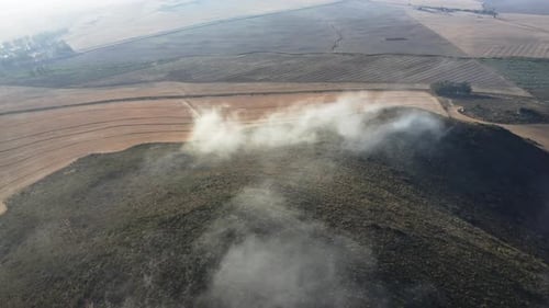 Aerial Shot of Wild Forest Trees and Plain Fields