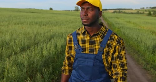 The Farmer Inspects the Harvest in the Wheat Field